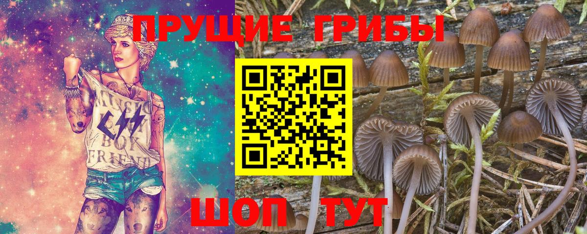 Галлюциногенные грибы Psilocybine cubensis  Галлюциногенные грибы прущие грибы  где купить   Вход с VPN  Набережные Челны 
