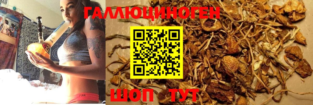 Псилоцибиновые грибы Magic Shrooms Набережные Челны